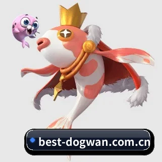 专业赛事服务, 为你而来